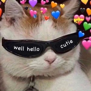 Meet your Posher, Alex